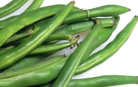 Like what you can eat the day before, if prep is as bad as everyone says it is, and how long it takes to recover. Eating Beans Before Colonoscopy « Diet Depot
