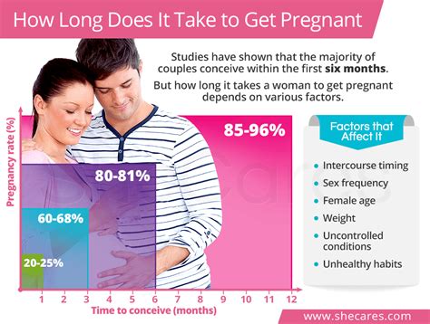 How Long Does It Take To Get Pregnant Shecares