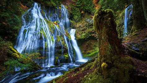 Beautiful Scenery Panther Creek Falls Washington Usa