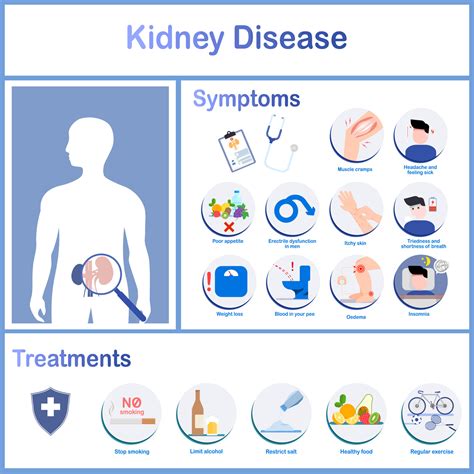 Infographics Of Various Symptoms Of Kidney Disease And Treatments