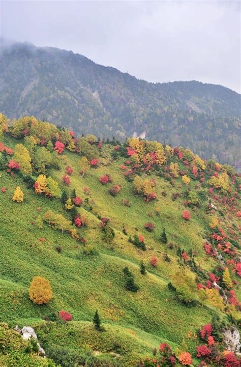 ShibuPass, Gunma, Japan | Gunma, Beautiful places in japan, Japan travel