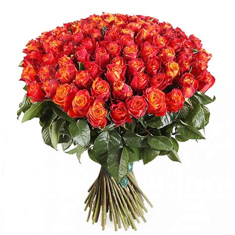 Huge Bouquet Of 100 Roses Orange Red Color Mix Buy In Vancouver