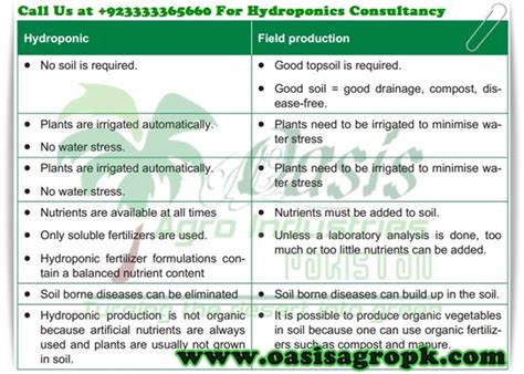 Advantages And Disadvantages Of Hydroponics Agriculture Information Bank