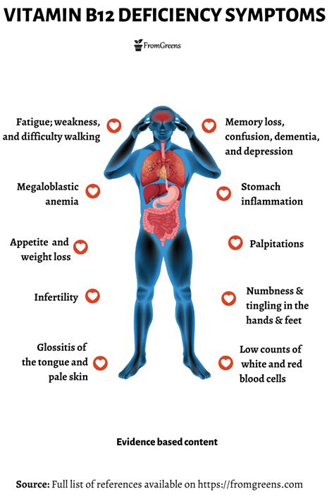 Vitamin B12 Deficiency Symptoms Evidence Based Content