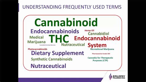 Cannabidiol And Epilepsy An Fda Approved Therapy Cbdcovo
