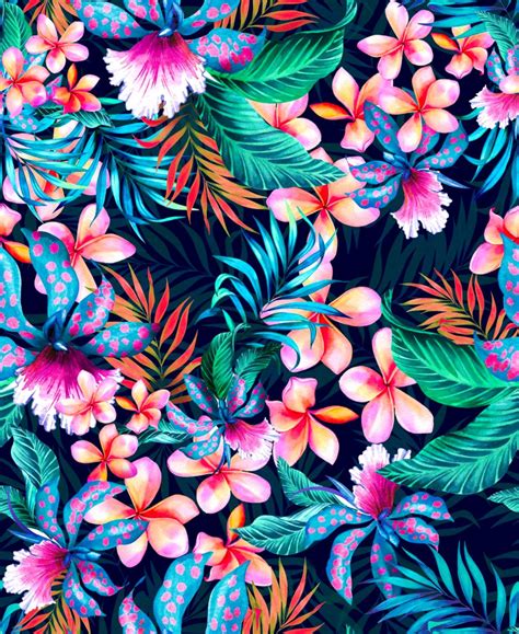 Tropical Flowers 1756434 Hd Wallpaper And Backgrounds Download
