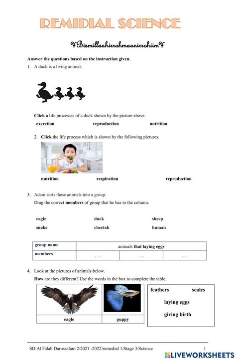Remedial Science 2 Worksheet Live Worksheets