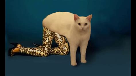 Cursed Cat Pictures Cursed Cat Uncannyvalley In 2020 Cartoon