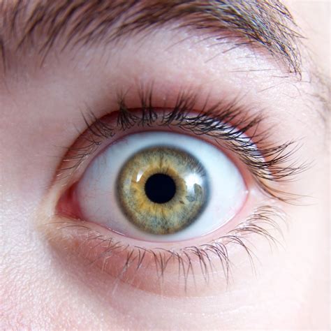 Das Sagt Deine Augenfarbe über Deinen Charakter Aus Genialetricks