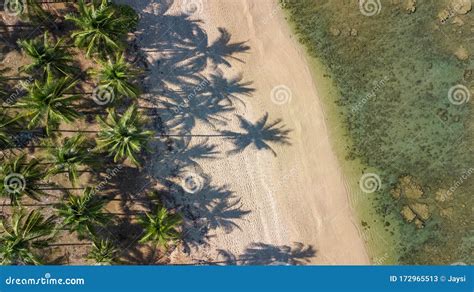 Aerial Drone View Of Tropical Beach From Above Sea Sand And Palm