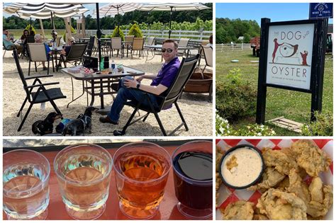 Exploring Wineries And Breweries Along Virginias Northern Neck