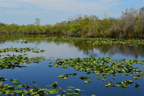 Located 15 miles from the everglades, 30 miles south of everglades national park is largely associated with birds, and is one of the very popular bird watching locations. Weekend Camping Trip for Families in Everglades National Park