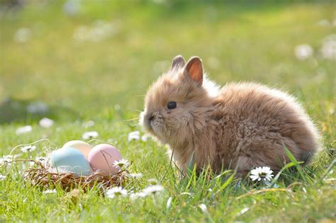 Easter Easter Celebrations In The Uk British Culture Customs And