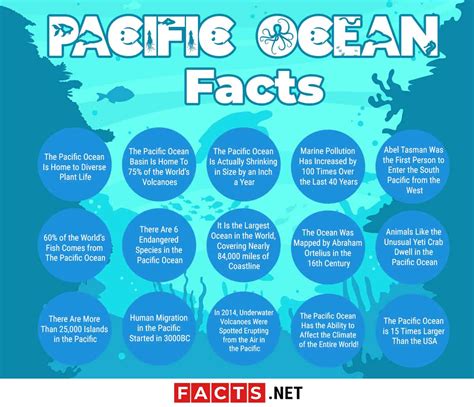Top 15 Pacific Ocean Facts Nature Economy History And More