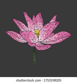 Lotus Flower Low Poly Illustration Isolated Stock Vector Royalty Free