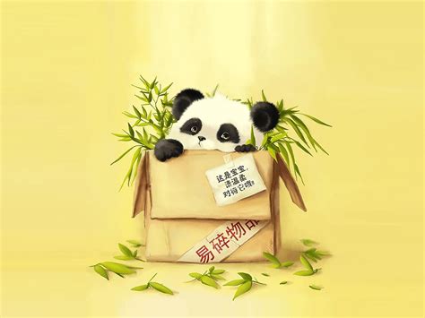 Coucou Panda Art Cute Panda Cute Panda Wallpaper