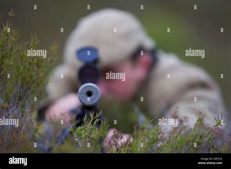 View Into Gun Barrel Of A Deer Stalker Hi Res Stock Photography And
