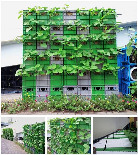 The 1 cubic foot milk crates are the perfect size. milk crate wall of plants | Plant wall, Milk crates, Urban ...