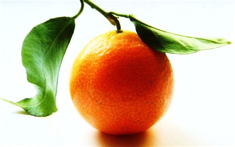 Free Download Orange Images Orange Fruit Hd Wallpaper And Background