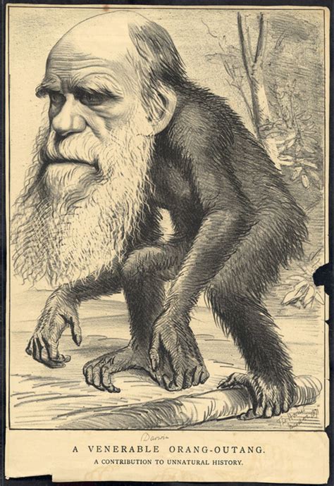 A darwin is an investment product uncorrelated to other financial assets since traders trade both long and short interchangeably. "Darwin l'original", exposition sur un personnage à la ...