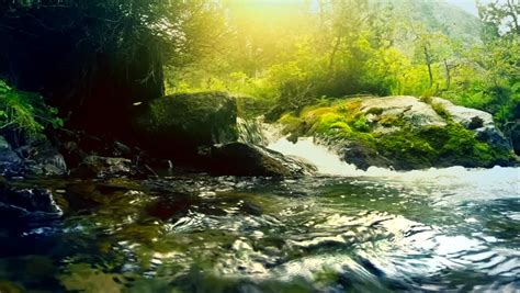 Beautiful Mountain River In The Forest River With Fresh