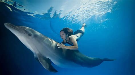 Do Dolphins Save Humans Naturefins