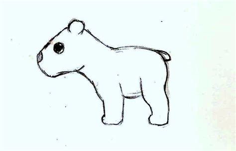 Chibi Cute Polar Bear By Wh Chicka 999 On Deviantart