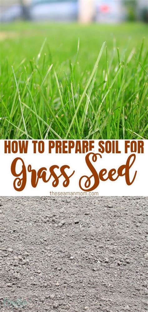 Preparing Ground For Turf Crucial Steps For Growing A Healthy Lawn