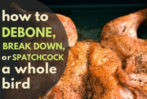 How To Debone A Whole Chicken Turkey Duck Or Any Poultry Delishably Food And Drink