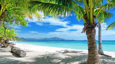 Playa Tropical Palmeras Wallpapers Hd Desktop And Mobile Backgrounds