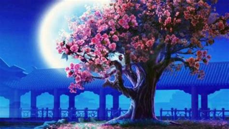 La Leyenda De Sakura Y El árbol Leyenda De Amor Japonesa 🌳🧚‍♂️ Youtube