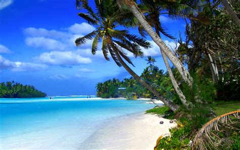Beach On Cayman Islands Wallpaper For Widescreen Desktop