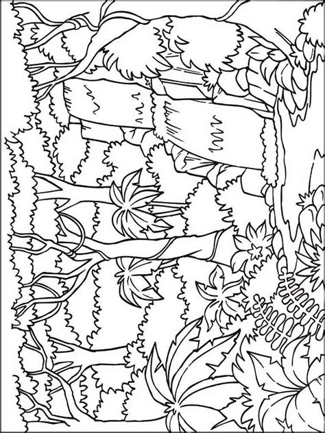 Forest Coloring Pages Download And Print Forest Coloring Pages