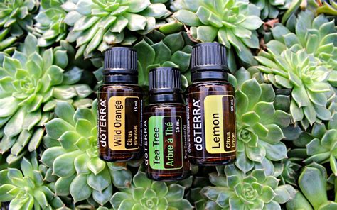 Essential oils for skin tightening. Essential Oils 101 - Anna's | Garden, Home & Wellness