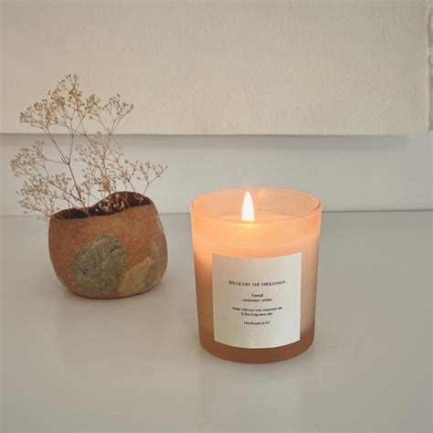 Santal Cardamom Amber Handcrafted Soy Candle Species By The Thousands