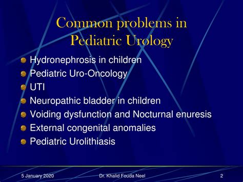 ppt common problems in pediatric urology powerpoint presentation free download id 9636446