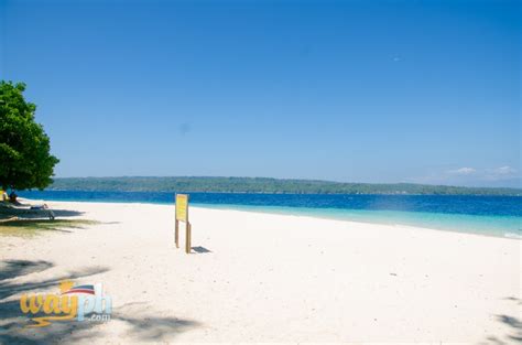 List Top 10 White Sand Beaches To Explore In Samal Island
