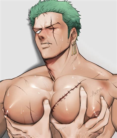 Roronoa Zoro One Piece Drawn By Houhou Danbooru