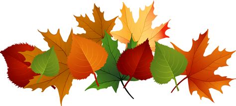 Fall Clipart Pile Fall Leaves Fall Pile Fall Leaves Transparent Free