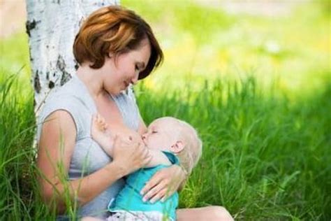 breastfeeding while pregnant 7 important facts to know