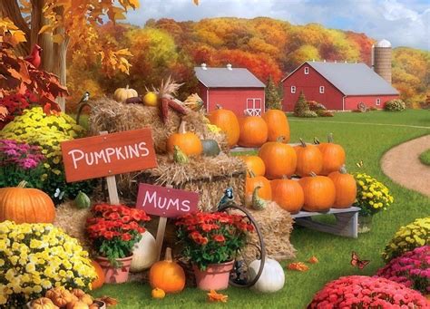 Fall Pumpkin Wallpapers Top Free Fall Pumpkin Backgrounds