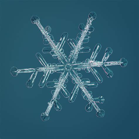 Snowflakes Nathan Myhrvold Official Site
