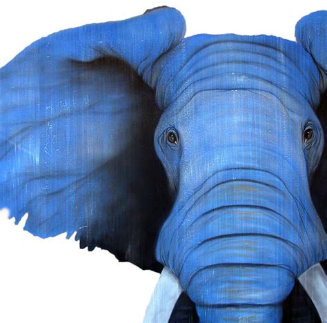 Resultados Del Primer Concurso De Cuento Multimedia El Elefante Azul