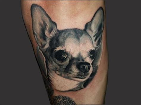 Chihuahua Tattoo Cute Chihuahua Chihuahua Lover Chihuahua Puppies