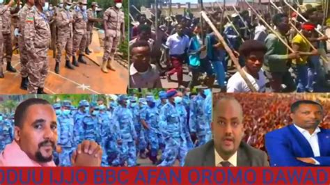 Oduu Ijjo Bbc Afan Oromo Ira Nugee Youtube