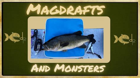 Magdraft Swimbaits And Monster Bass Youtube