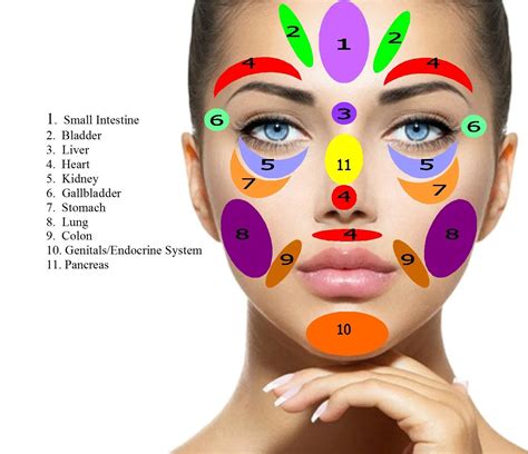 Face Acupressure Points Chart