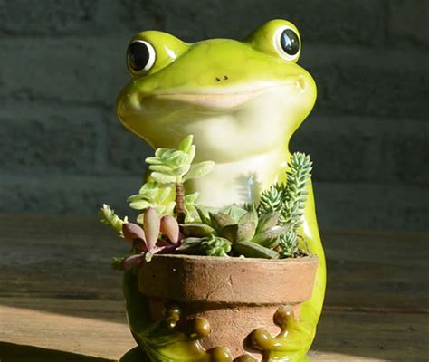 Cute Frog Succulent Planter Plant Pot Flower Pot Bonsai Pot