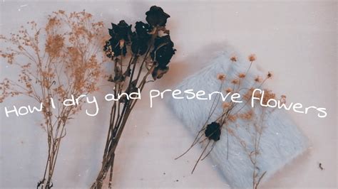 You will instead get the color. How I dry and preserve flowers 🌼 - YouTube