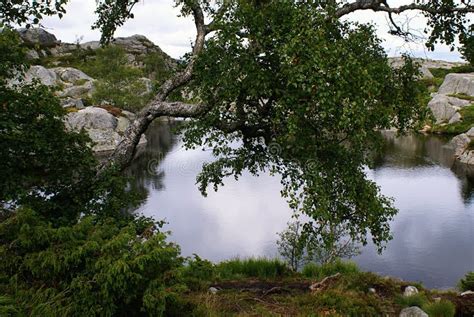 Beautiful Norwegian Landscape Lake Sourrounded By Stones And Trees